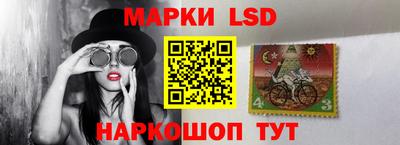 индика Обнинск