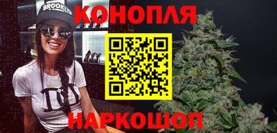 индика Обнинск